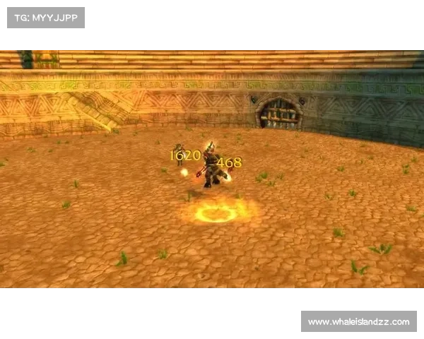 魔兽世界正服：武器外观轻松刷，尽显个性