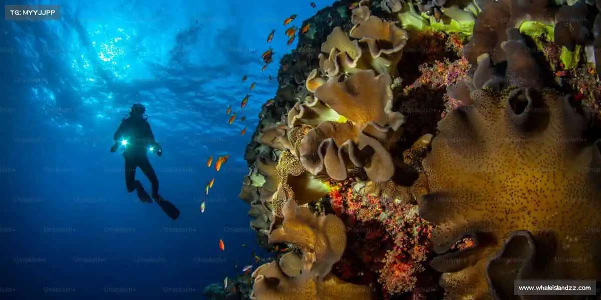 澳门威尼斯人网站——健康生活，从运动开始！